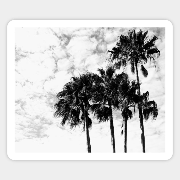 Palms Sticker by goldstreet